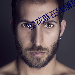 樱花草在线播放免费中文