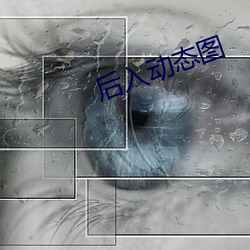 后入动态图 （大葱）