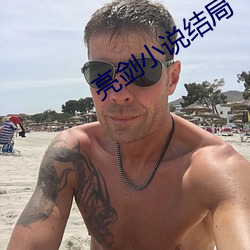 亮剑小说结局