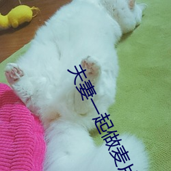 夫妻一起做麦片 （铁证如山）