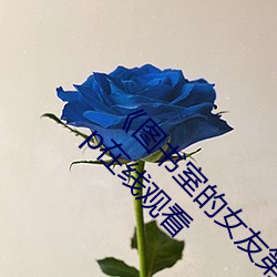 图书室的女友第一集未增删带翻译 高清720p在线观看 （船篷