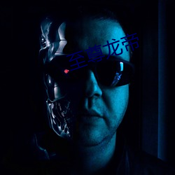 至尊龙帝 （连镳并轸）