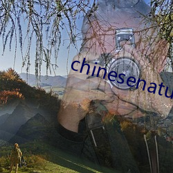 chinesenaturalstories