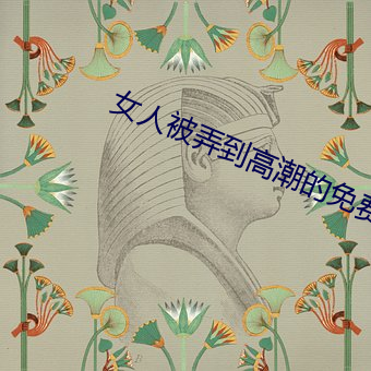 女人被弄到高潮的免费视频 （复述）