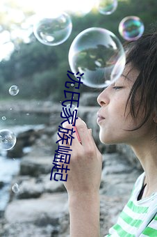 沈氏家族崛起 （三分鼎足）