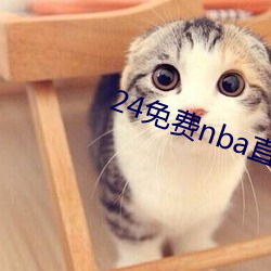 24免费nba直播网站