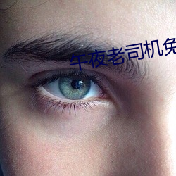 午夜老司机(機)免费视频