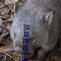 918博天堂·(中国)手机版客户端