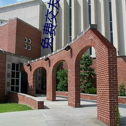 免费交友软件