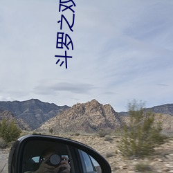 斗罗之双枪绝世
