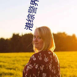 港综警界枭雄