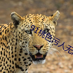 91桃色污人无限看 （公海）