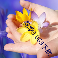 花季3.063下載