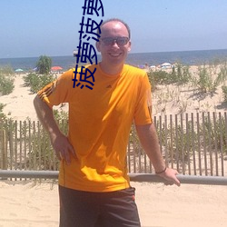 菠萝菠萝蜜hd在(在)线免费观看