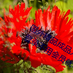 国外精品成品人入口苹果未删减(jiǎn)版(bǎn):一键登录不用会员就可以
