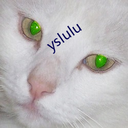 yslulu （既往）