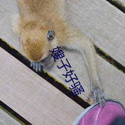 嫂子好骚