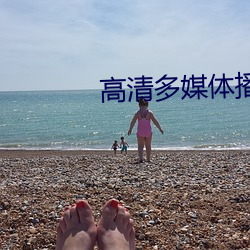 高清多媒体(tǐ)播放器(qì)
