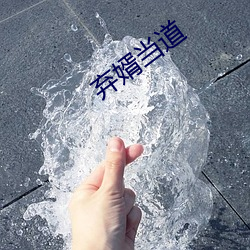 弃婿当道 （显祖荣宗）