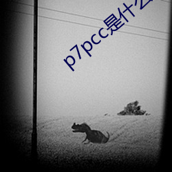 p7pcc是什麽網站