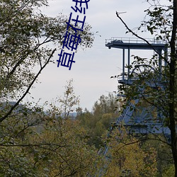 草莓在線視頻