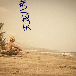 天龙八(八)部(部)小说(說)