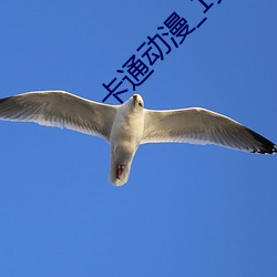 卡通动漫_1页_777ih