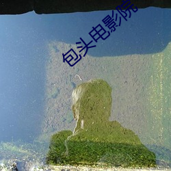 ca88手机客户端(安卓/苹果)CA88会员登录入口