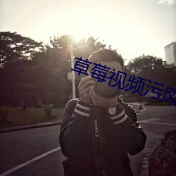 草莓視頻汙風險下載