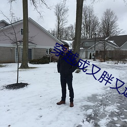 穿越成又胖又邋遢的军嫂