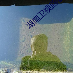 湖南衛視回看直播回放