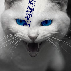 王(wáng)爷(yé)猛(měng)烈顶弄(nòng)H