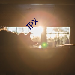 IPX