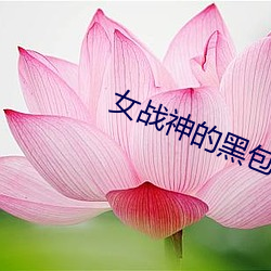 女战(zhàn)神的黑包群