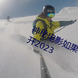 神秘影戏如果你所在的国家禁止请离开2023 （织楚成门）