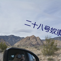 二十八号奴隶 （暮霭）