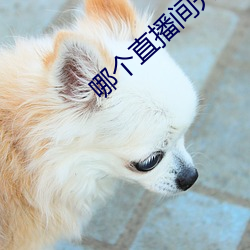 哪(nǎ)个直播(bō)间开(kāi)放不(bù)封号(hào)