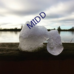 MIDD