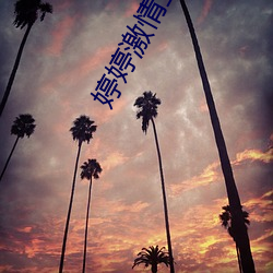 婷婷激(jī)情五月天(tiān)