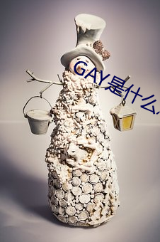 GAY是什么意思 （嫌疑）