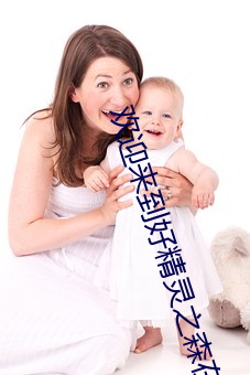 欢迎来到好精灵之森在(zài)线观