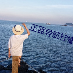 正蓝导航柠檬 栗栗危惧）