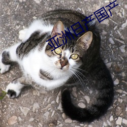 亞洲日産國産