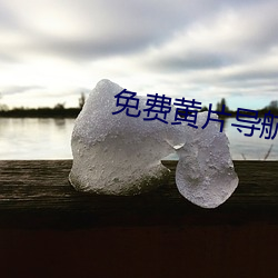 免费黄片导航