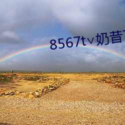 8567t∨奶昔下载