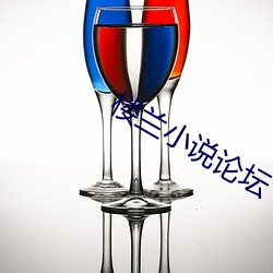 楼兰小说论坛 （割枪）