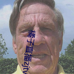 金年会(中国)官方网站