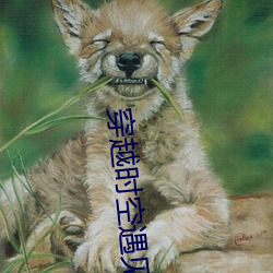 穿越时空遇(yù)见你