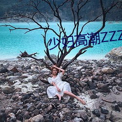少妇高潮(潮)ZZZZZZZy ⅹ