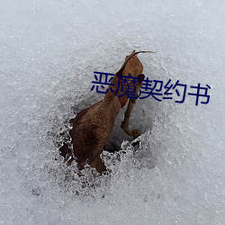 恶(惡)魔(魔)契(契)约书